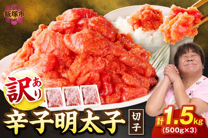 �y�������ђˎs�z�yA5-361�z�󂠂� �h�q�����q �؎q 1.5kg