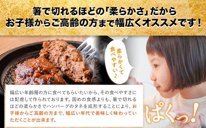 熊本県産あか牛100%生ハンバーグ 140g×13個入り合計1820g 1.82kg以上《30日以内に出荷予定(土日祝除く)》熊本県産あか牛 バイキングベーカリー 冷凍 ---hkw_faknham_30d_r8_14000_1820g---