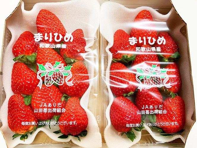 紀州和歌山ブランドいちご「まりひめ」約280g×2P