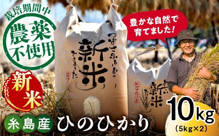 [令和6年産新米]糸島産 雷山 のふもと 栽培期間中 農薬不使用の米 10kg(5kg×2)ひのひかり ヒノヒカリ 糸島市 / ツバサファーム