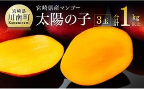 マンゴー 【令和8年発送】宮崎マンゴー 太陽の子３玉（1kg以上） 【 果物 くだもの フルーツ 宮崎マンゴー 】 [C06702]