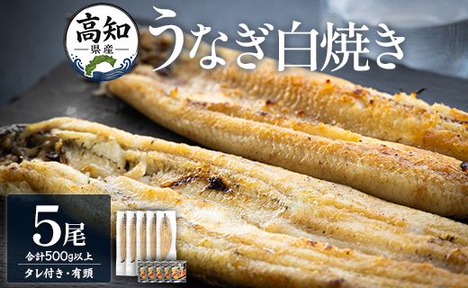 鰻 高知県産うなぎの白焼き 100ｇ～120ｇ×5尾 - 国産 鰻 ウナギ 有頭 背開き タレ付き つまみ ご飯のお供 老舗 土佐湾 吉川水産 高知県 香南市 冷凍 yw-0085