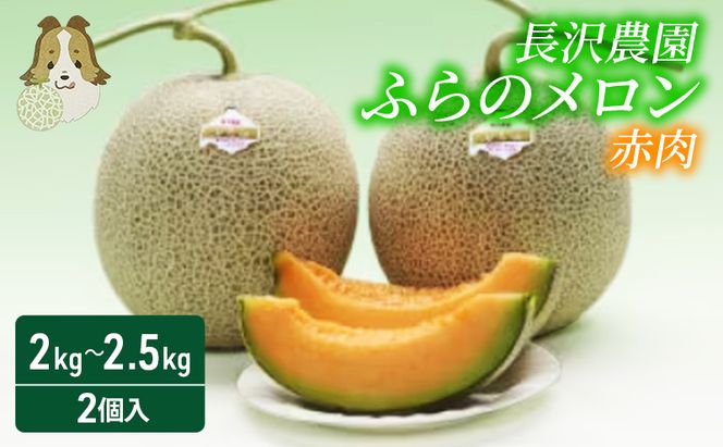 【先行受付  2026年発送】ふらのメロン 赤肉 大玉 ジャンボ 2玉 セット 計4kg以上 北海道 富良野 メロン 夏 果物 フルーツ ギフト 長沢農園