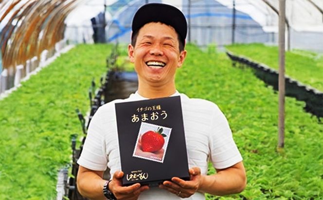 いちご 1月配送 しあわせもん あまおう 化粧箱 2箱 いちご職人 白木のいちご イチゴ 苺 果物 デザート ※配送不可：沖縄・離島