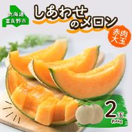 ＜2026年発送＞ふらの産 しあわせのメロン 赤肉 大玉 2玉 計4kg メロン 富良野メロン