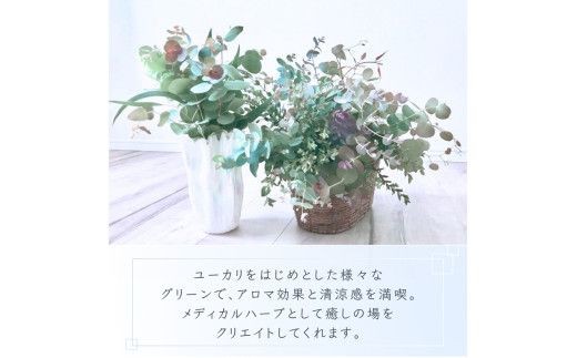 ＼アロマ効果抜群／  ユーカリとアカシア(ミモザ)のアレンジ〈なかやFarm 和歌山県 紀美野町〉/  オージープランツ 癒し 清涼感 植物 花瓶 ユーカリ アカシア ミモザ ハーブ プレゼント ギフト 【nkf948-yuak】