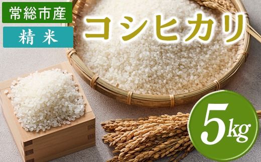 y錧푍szߘa7NY  RVqJ 5kg 錧푍sY