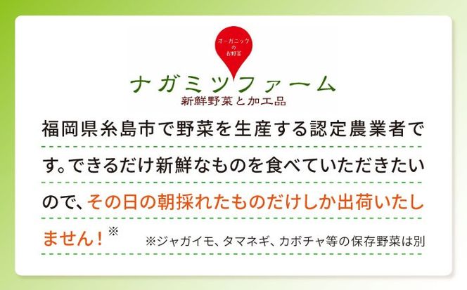 アスパラガス 800g 冷凍 カット済み 旬の時期に急速冷凍 【福岡県糸島産】 糸島市 / オーガニックナガミツファーム 野菜 アスパラ[AGE050]