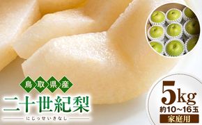 【2026年度先行予約】数量限定　鳥取県産　二十世紀梨　家庭用 5kg(約10〜16玉)【8月20日以降発送】 313726_DE006