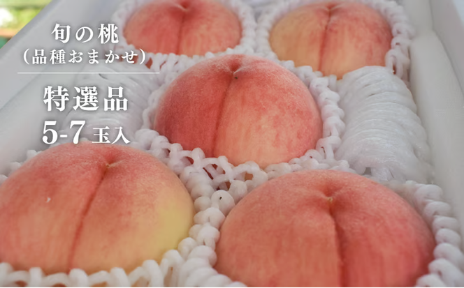 【2026年先行予約】旬採り桃 特選品 5-7玉 (岡山県産) / もも 桃 モモ 先行予約 フルーツ 果物 真庭市 フルーツ王国 きよとう果樹園 岡山 【KF-A001-02】