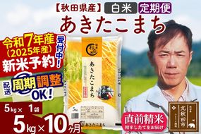 ※令和7年産 新米予約※《定期便10ヶ月》秋田県産 あきたこまち 5kg【白米】(5kg小分け袋) 2025年産 お届け周期調整可能 隔月に調整OK お米 みそらファーム|msrf-10310