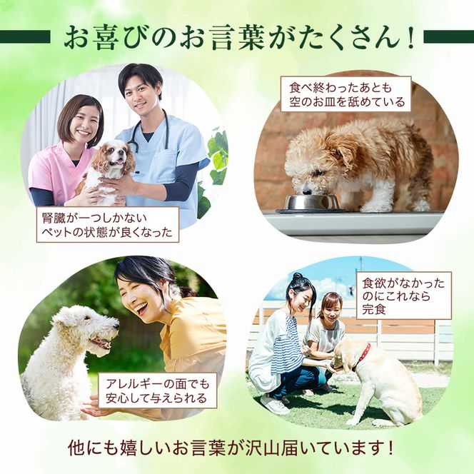 小諸産 KomoroPremium 鹿肉ドライフード　（栄養補助食）10袋（100g/袋）