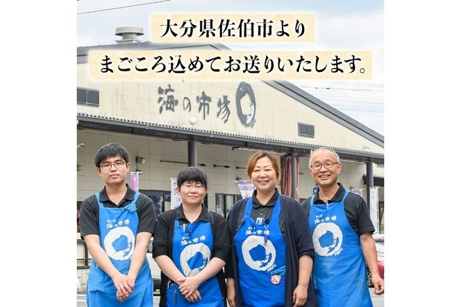 老舗海産物問屋 選りすぐり干物 セット 赤 (9種)あじ 鯵 たい 鯛 みりん ちりめん さば 鯖 海鮮 魚 いわし セット 詰合せ 【BQ69】【佐伯海産(株)】