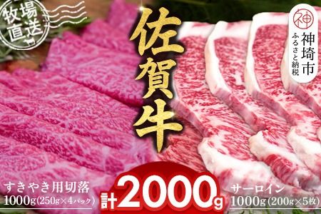 yꌧ_szꋍ T[CXe[L200g×5v1000g ₫pؗ250g×4pbNv1000gyꋍ T[C Xe[L ₫ ؗ  Ԑg ~ z(H122124)