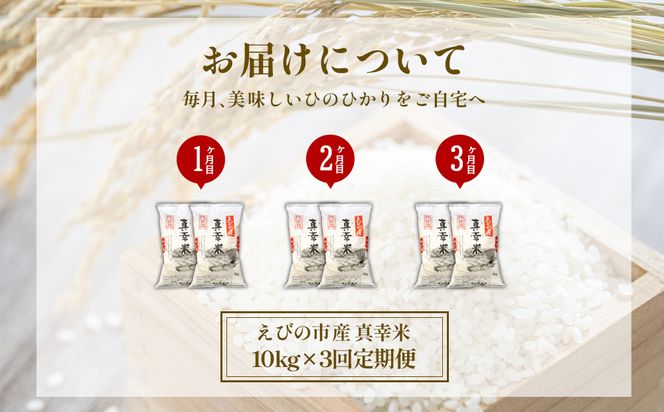 【定期便】限定品 えびの産 ヒノヒカリ 真幸米(まさきまい) 10kg×3ヶ月 30kg 米 定期便 コメ こめ 白米 ひのひかり おにぎり お弁当 冷めても美味しい