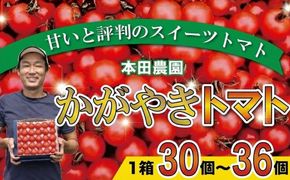 【人気のスイーツトマト】本田農園のかがやきトマト1箱（約30~36個） cz006n00