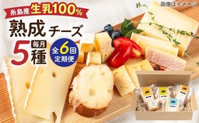 【全6回定期便】糸島産 生乳 100％ 使用 手作り 熟成 チーズ 5種 食べ比べ セット 糸島市 / 糸島ナチュラルチーズ製造所TAK-タック-[AYC012]