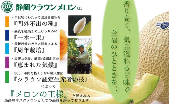 【12ヶ月定期便】クラウンメロン（白等級）小玉　２玉入 果物類 メロン青肉 