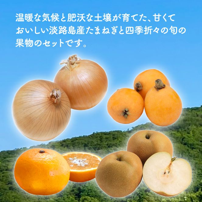 淡路島産たまねぎ5kgと旬の果物少々セット