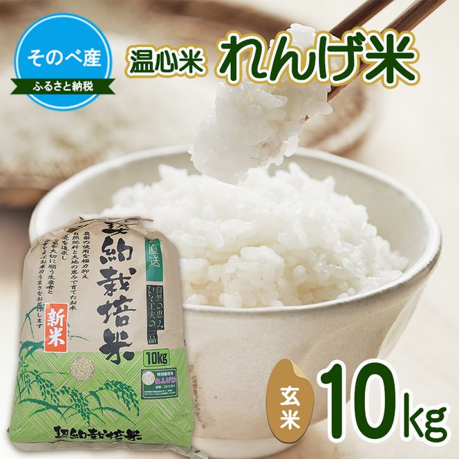 れんげ米10kg 玄米×1 令和7年度産　そのべ産 温心米 お米 単一原料米 こしひかり 丹波 精米 玄米 こめ コメ 京都