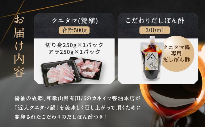 近大クエタマ鍋セット500g（2027年2月上旬～2月中旬発送） 304018_A021