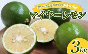 はぎファームのマイヤーレモン ３kg 【2025年10月～2026年1月下旬の期間で順次発送】 / レモン 国産 マイヤーレモン 【hgf001A】