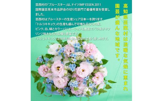 【CF-R7hbk】HNS002　《先行予約》芸西村のお花を使ったアレンジメント（中）