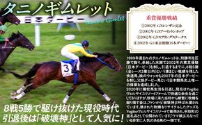 【破壊神タニノギムレット】(セメントカラー）プルオーバーパーカー裏起毛　選べる４サイズ【М】 BRTV105-2