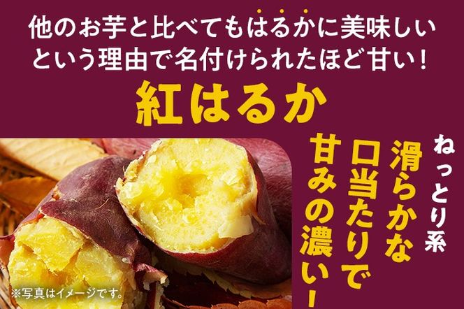 訳あり 熟成 紅はるか 5kg さつまいも 芋 サツマイモ 土付き サイズ色々 サイズ不揃い 九州産 焼き芋 やきいも 甘い デザート スイートポテト 生芋 おやつ デザート 野菜 いも【2024年12月以降順次発送】