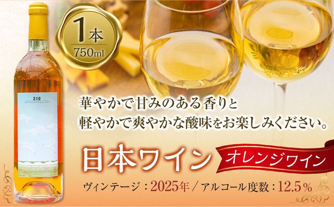 ３１０農園・日本ワイン（デラウエア/オレンジワイン）750ml 313726_CA003
