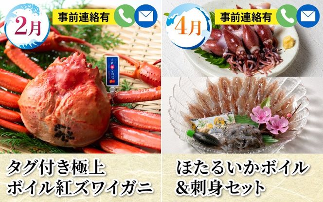 【数量限定】富山湾の恵がつまった カネツル旬の定期便（ホタルイカ、紅ズワイガニ、えび、ぶり、国産うなぎ）【(有)カネツル砂子商店】