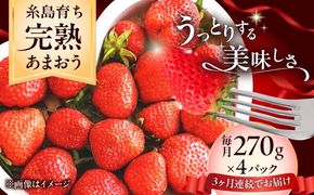 【全3回定期便】福岡県 糸島市産 完熟 あまおう いちご （約270g×4パック） 【2026年4月以降順次発送】 糸島市 / mhshops / 苺 イチゴ[AKQ005]