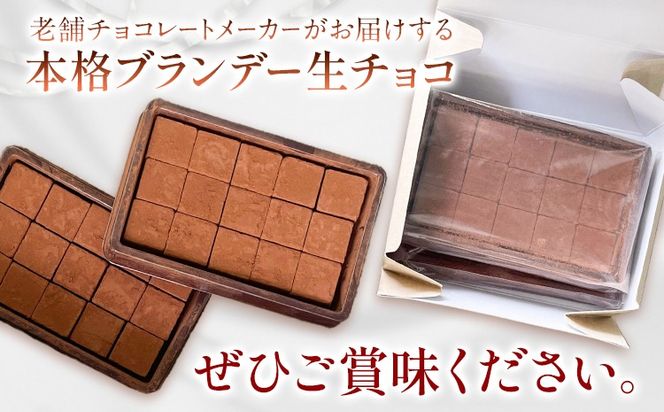 生チョコ 本格ブランデー生チョコ 3箱 1箱30個入り 株式会社たにぐち《2月上旬-2月中旬頃出荷》和歌山県 日高川町 スイーツ デザート チョコレート 生チョコレート お菓子 チョコ 送料無料 ブランデー---wshg_ctng7_2j2c_24_13000_6t---