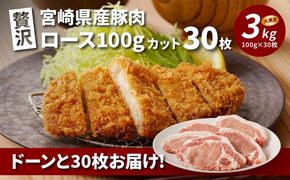 贅沢宮崎県産豚肉ロース100gカット30枚 K16_0018_2