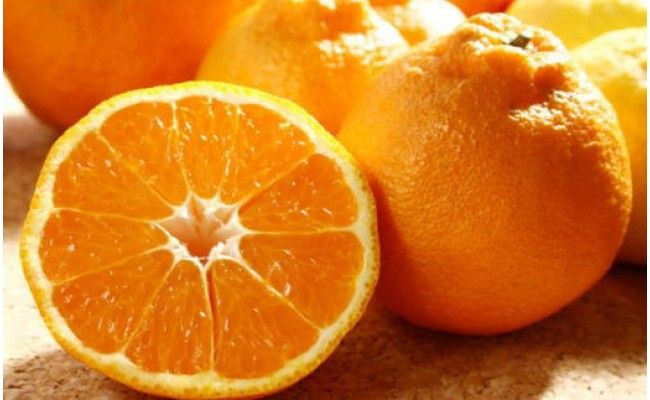 【先行予約】【濃厚】和歌山県有田産 不知火 約5kg（12玉～20玉）