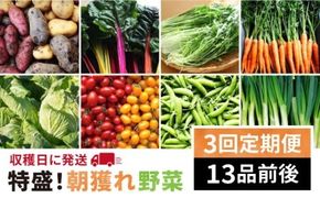 【 全3回 定期便 】【 福岡県 糸島産 】 朝採れ 野菜 セット （ 13品 前後 ） 《糸島》【オーガニックナガミツファーム】 [AGE024]