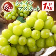 【令和8年発送 先行予約】小林市産 シャインマスカット 1kg（ブドウ ぶどう シャインマスカット マスカット フルーツ 果物 先行受付 限定）