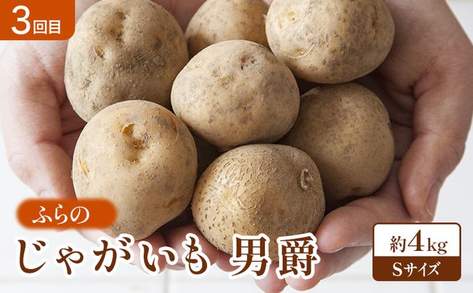 【2026年春～秋発送】定期便 3ヵ月 初夏の彩り満喫 野菜セット 全3回 （ 野菜 新鮮 直送 アスパラ とうもろこし じゃがいも 男爵 道産 ふらの 送料無料 数量限定 北海道 富良野市 ）