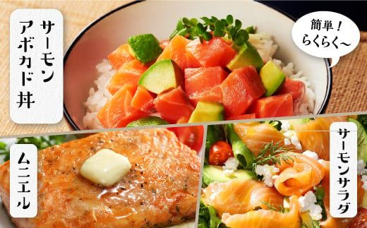 【TOWA SALMON】アトランティック サーモン 【800g】鮭 サーモン さけ シャケ しゃけ sake カルパッチョ ソテー レアステーキ 人気 高級 大満足 美味しい 贈答 生食用 刺身 お刺身 刺し身 魚介類 海鮮 冷凍 厚切り 薄切り ふるさと納税 北海道 白糠町 ※2026年1月末までにお届け※