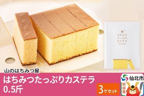はちみつたっぷりカステラ 0.5斤 3個 セット 山のはちみつ屋|02_bsk-120301