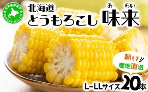 先行予約 【 2025年 発送 】北海道産 とうもろこし 味来 L～LLサイズ 20本入り トウモロコシ みらい ミライ とうきび スイート イエロー コーン 旬 新鮮 朝もぎ 農作物 甘い お取り寄せ 産地直送 送料無料