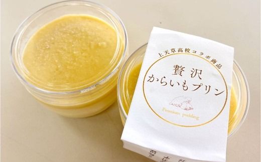 いきなり団子 12個 ＆ 贅沢からいもプリン 4個 【 上天草高校コラボ返礼品 】 合計16個 お菓子 菓子 洋菓子 スイーツ デザート おやつ 冷凍 詰め合わせ 食べ比べ セット