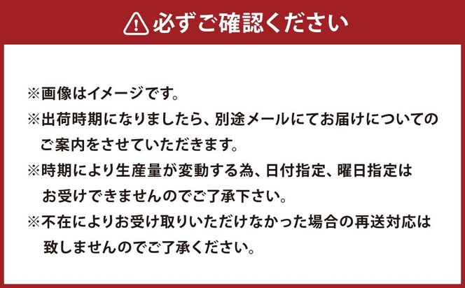 北海道 豊浦 おふけしの平飼い卵18個＋BioPio 烏骨鶏卵 6個