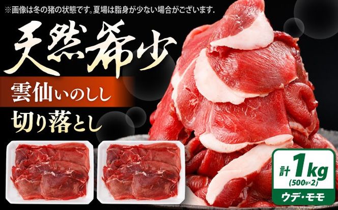 猪肉 切り落とし 1kg 雲仙いのしし モモ ウデ / 肉 イノシシ ジビエ いのしし 焼肉 ぼたん鍋 切り落とし / 南島原市 / もりのめぐみ[SDB015]