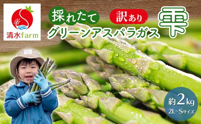 【2027年4月～発送】訳あり 富良野産 採れたて直送! グリーンアスパラ 「雫」2L～Sサイズ【約2kg】 (清水farm) アスパラ アスパラガス 野菜 新鮮 季節限定 北海道 富良野 ふらの