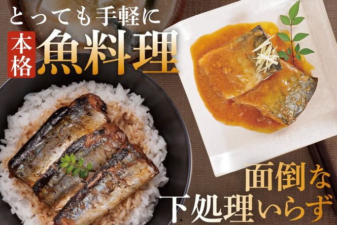 三陸食堂 煮魚 惣菜 セット 9種 12パック [阿部長商店 宮城県 気仙沼市 20565442] 簡単調理 レトルト 魚 レンジ 長期保存 魚料理 和食 常温保存 さんま いわし さば ぶり かつお 蒲焼 味噌煮 つみれ汁 和食 常温保存 個包装