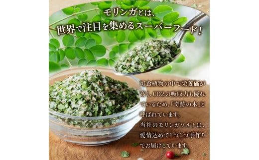 【メール便発送】 モリンガガーリック＆ペッパーソルトとモリンガペッパー＆ソルト 選べるセット ミルセット レフィルセット 調味料 モリンガ スーパーフード モリンガソルト ハーブ 万能調味料 山梨 富士吉田