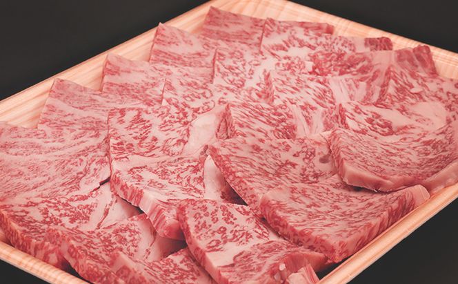ふるさと納税　飛騨牛 ロース＆カルビ 焼肉 セット  計600g A5 和牛 牛肉 お肉 ロース カルビ 食べ比べ 焼肉用 バーベキュー BBQ 