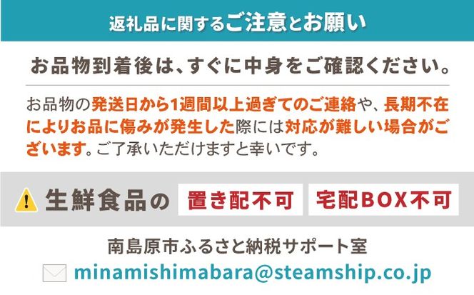 【年6回 偶数月コース】果物屋が選ぶ旬のフルーツ定期便 ハウスびわ メロン ぶどう (巨峰) みかん など / 南島原市 / 贅沢宝庫 [SDZ022]