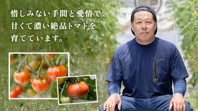 ぜいたくトマト！ 約2kg × 2箱 合計 約4kg ( 18～24個 ) トマト 大玉トマト  新鮮 美味しい 野菜 [J011-NT]